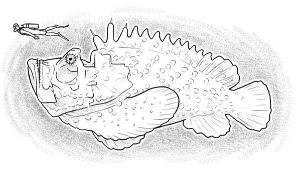 JN's Sea Monster