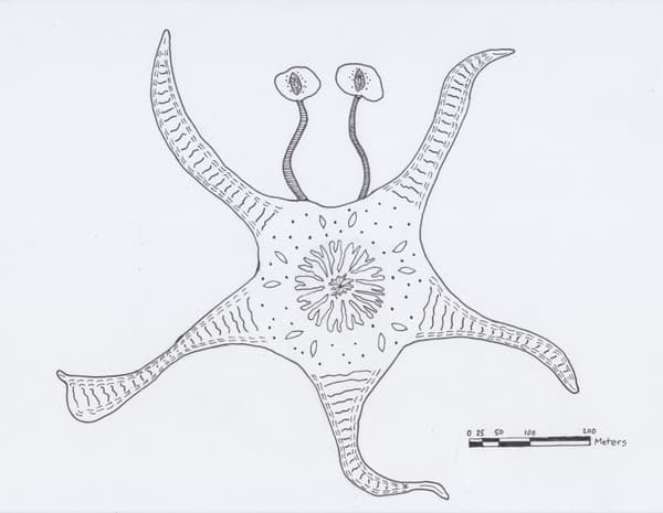 JMR's Sea Monster